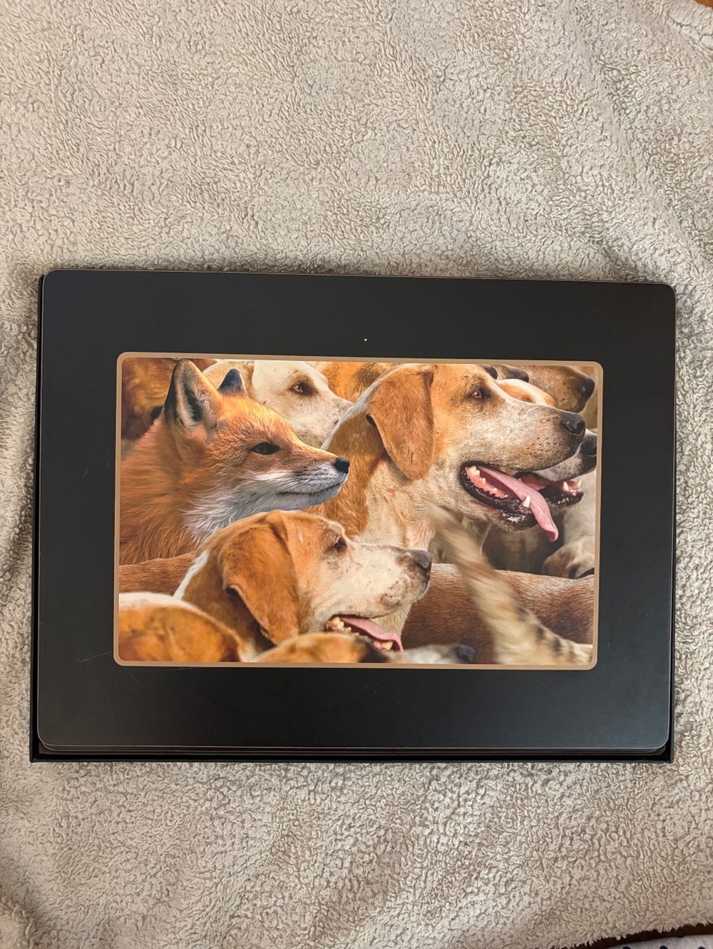 Vintage Lady Clare Fox Hunt Hounds Placemats Set of 4 Made in England w/ Box